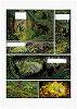 01 Broceliande_T2.TIF